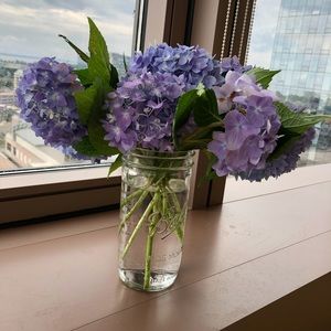 Meet your Posher, Jean